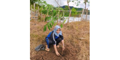KABALONG (Kolaborasi Budidaya dan Pemanfaatan Lahan Kosong