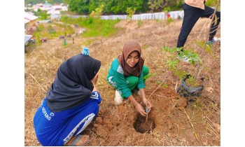 Kegiatan Sabtu Budaya di SMAN 1 Ropang, Tanam Bibit Tanaman Produktif